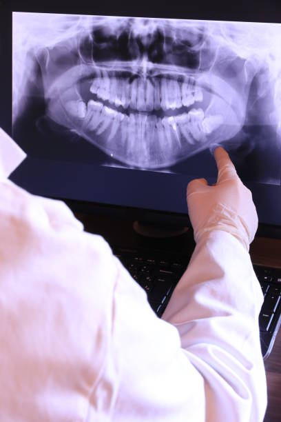 Best Emergency X-Rays and Diagnostics in Ashford, AL